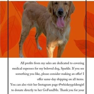 Profits go to sparkle ongoing recovery